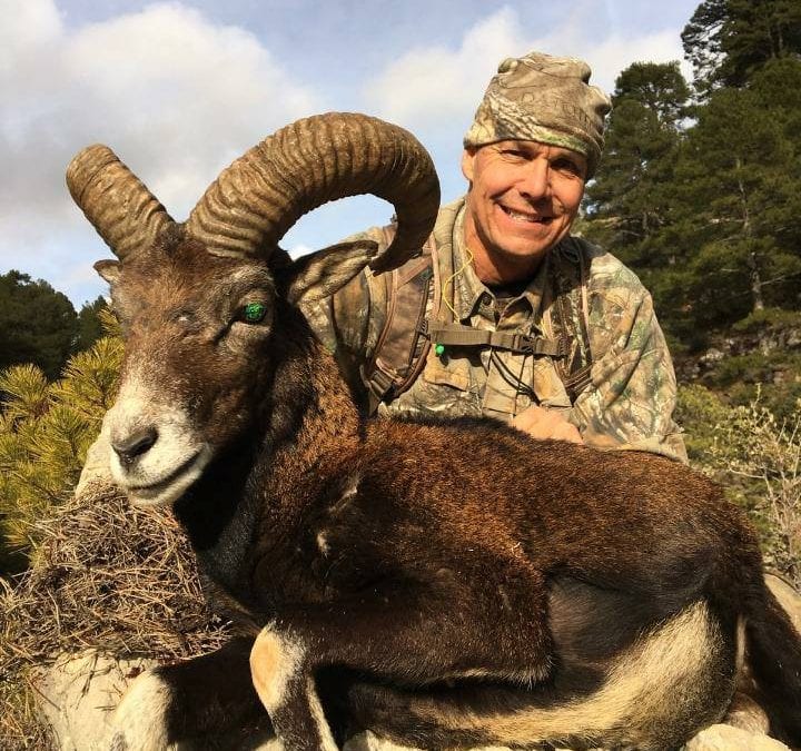 Spain Sierra Nevada Ibex and Mouflon Cazorla Package Hunt