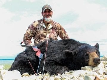 picture of North America Alaska Matt Guedes Bear with Bow
