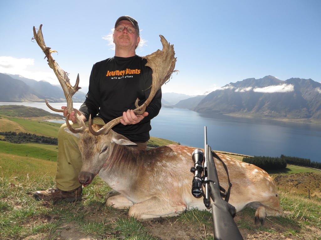Picture of New Zealand, South Island, Fallow Deer, Rifle, Ron Shirey