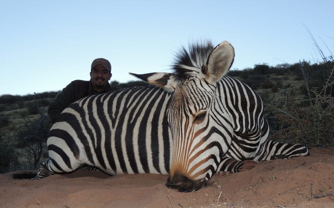 Namibia 10 Day Safari 6 Species