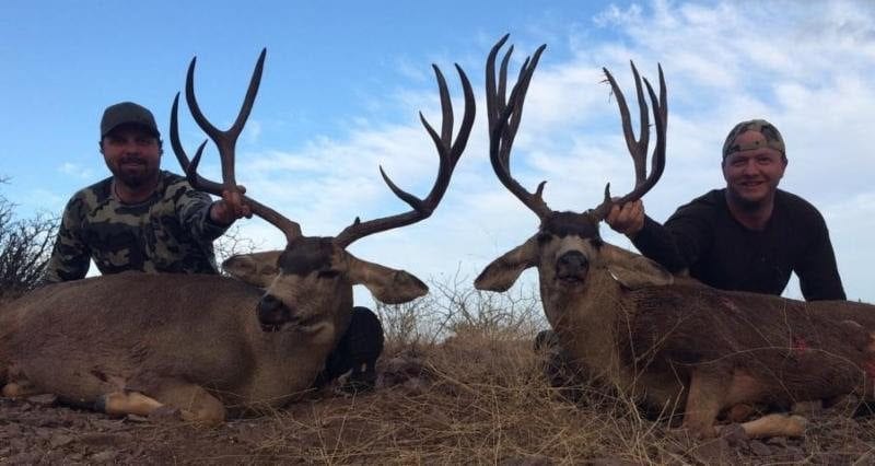 Mexico Mule Deer Hunt