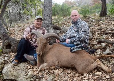 Texas Auodad Hunt