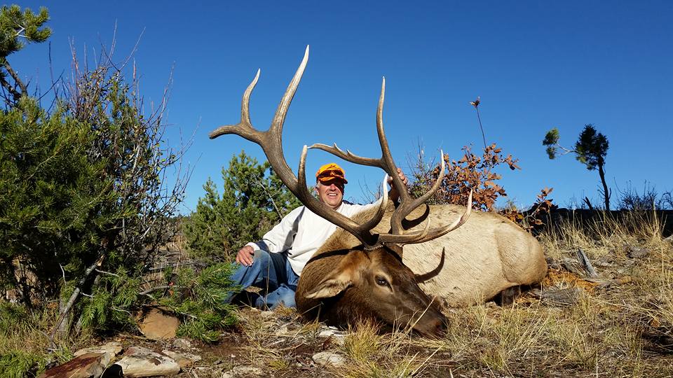 Colorado Trophy Elk Hunt Unit 61