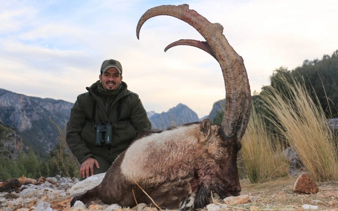 Turkey Bezoar Ibex Hunt