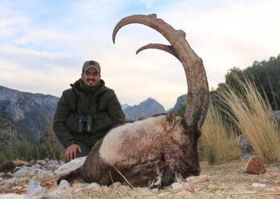 Turkey Bezoar Ibex Hunt